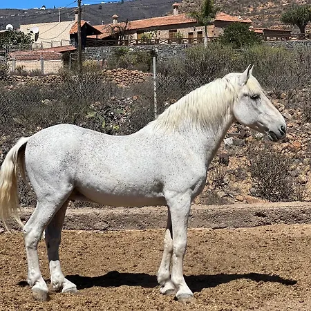 아파트 Tantulia La Casita Del Caballo *