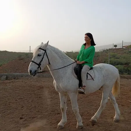 아파트 Tantulia La Casita Del Caballo 산미겔데아보나