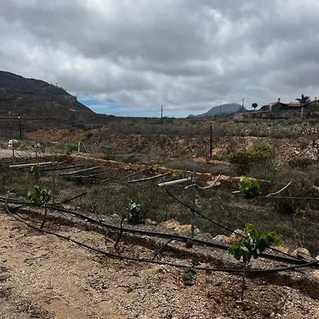 Tantulia La Casita Del Caballo San Miguel de Abona