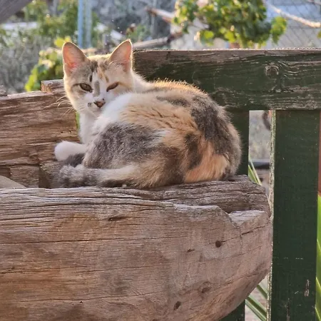 Tantulia La Casita Del Caballo Сан Мигель