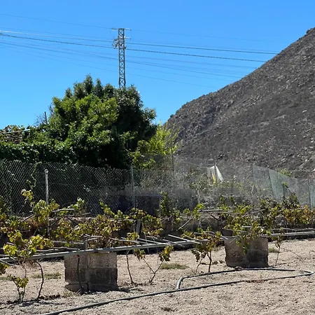 Tantulia La Casita Del Caballo * San Miguel de Abona