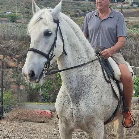 Tantulia La Casita Del Caballo Apartment