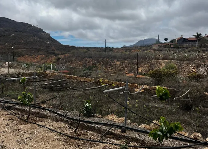Tantulia La Casita Del Caballo San Miguel de Abona