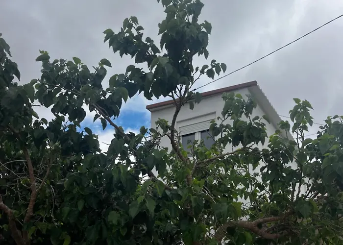 Tantulia La Casita Del Caballo * サンミゲル・デ・アボナ