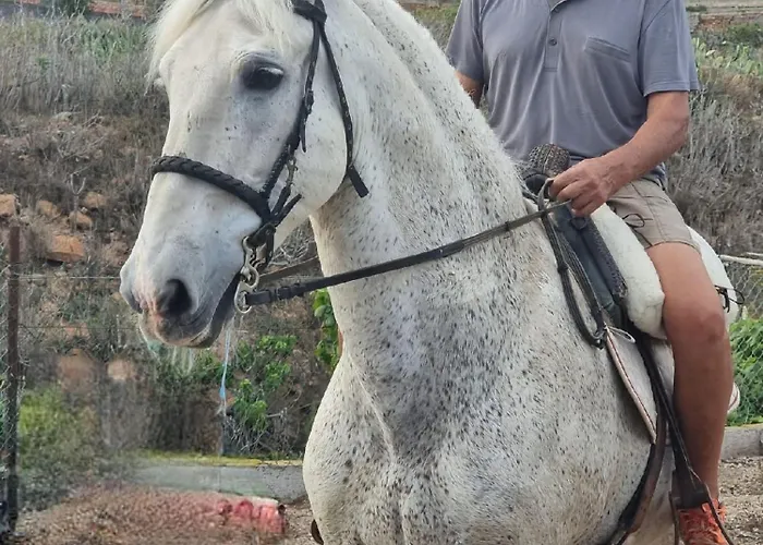 Tantulia La Casita Del Caballo アパート