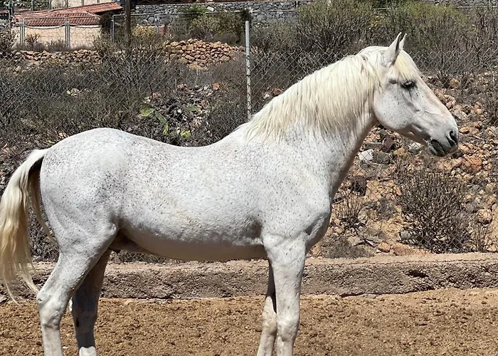 アパート Tantulia La Casita Del Caballo *