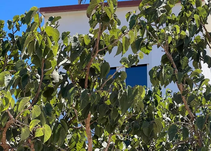 Tantulia La Casita Del Caballo アパート