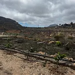 Tantulia La Casita Del Caballo San Miguel de Abona