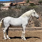 Apartmán Tantulia La Casita Del Caballo *